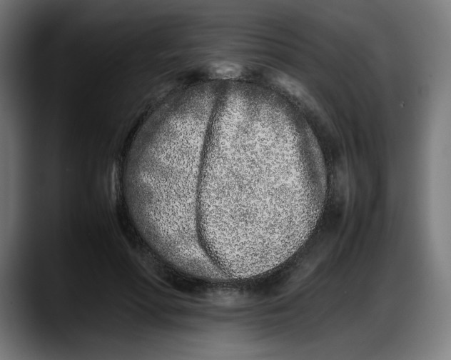 X0000087750598200705291035