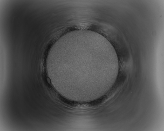 X0000087750599200705291035