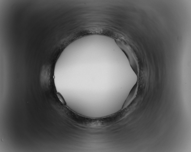 X0000087750600200705291035