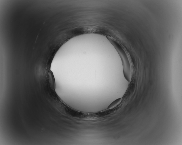 X0000087750601200705291035