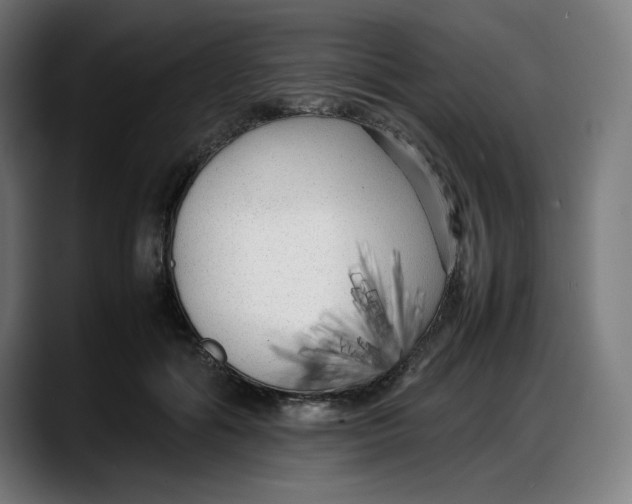 X0000087750602200705291035