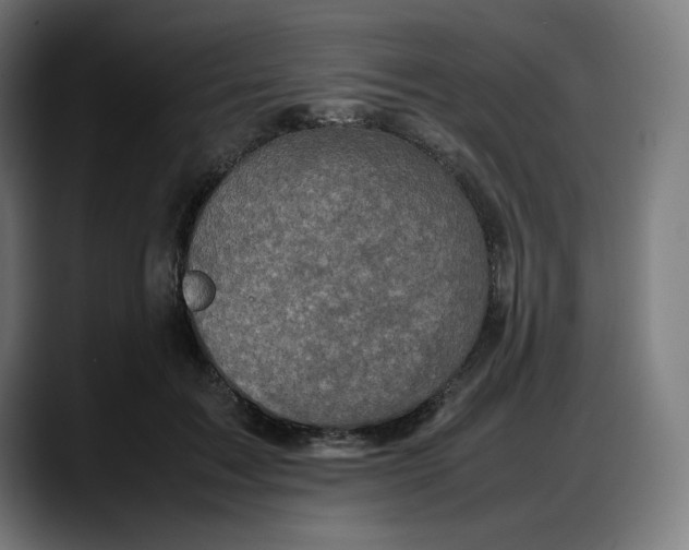 X0000087750603200705291035