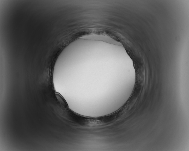 X0000087750605200705291035