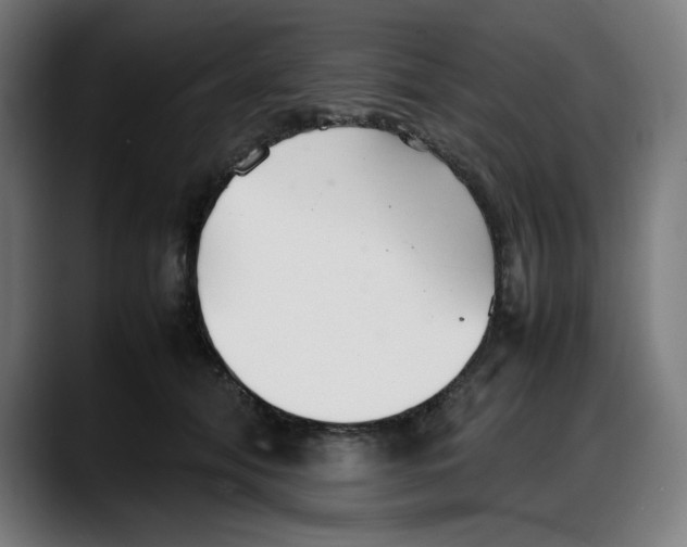 X0000087750608200705291035