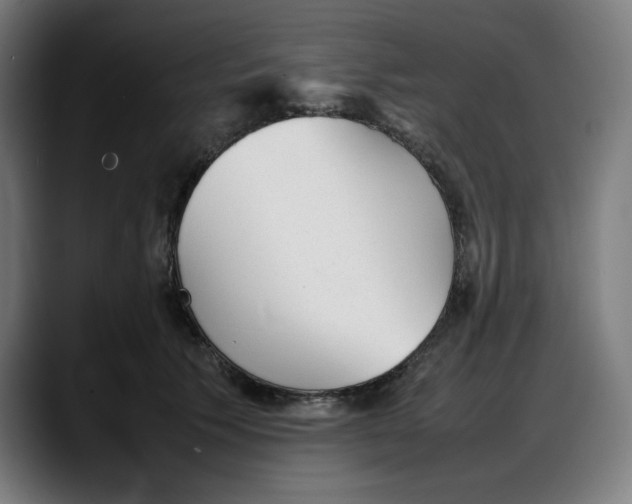 X0000087750609200705291035