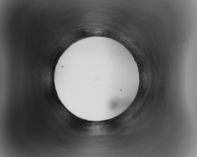 X0000087750612200705291035