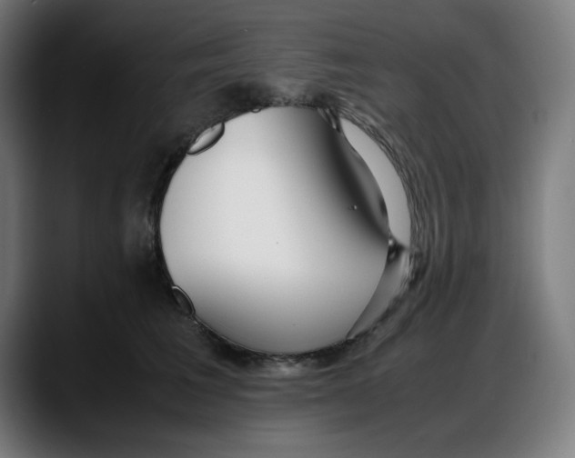 X0000087750613200705291035