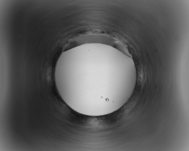 X0000087750616200705291035