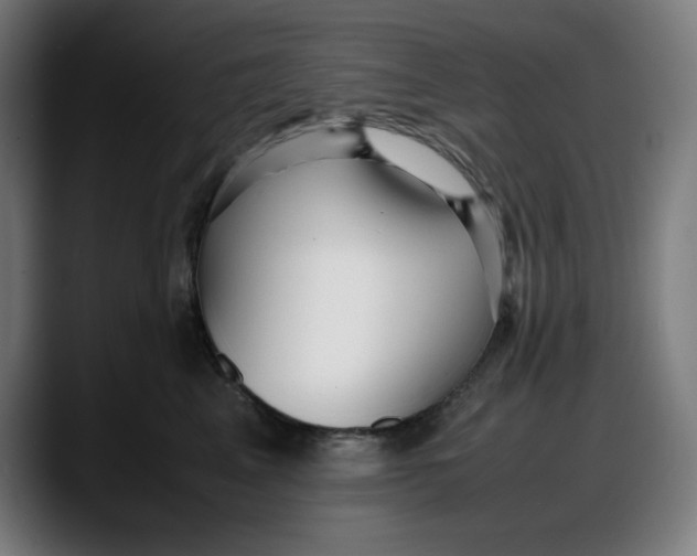 X0000087750617200705291035