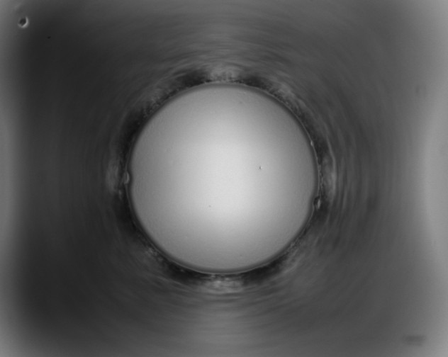 X0000087750619200705291035