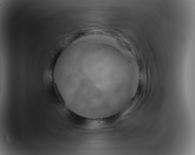 X0000087750621200705291035