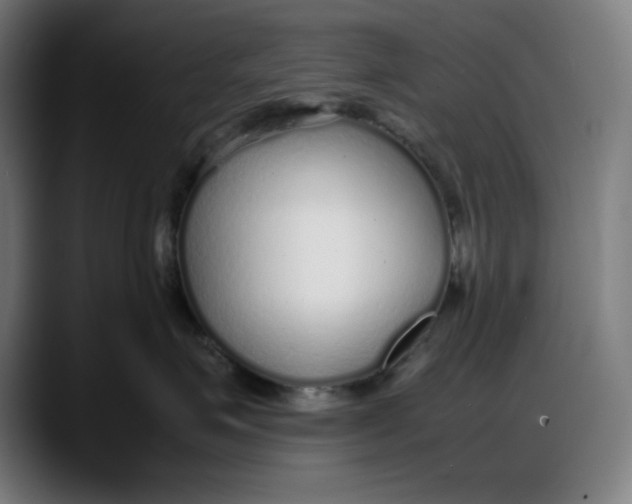 X0000087750623200705291035