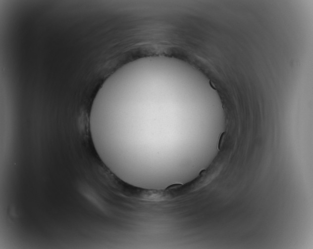 X0000087750624200705291035