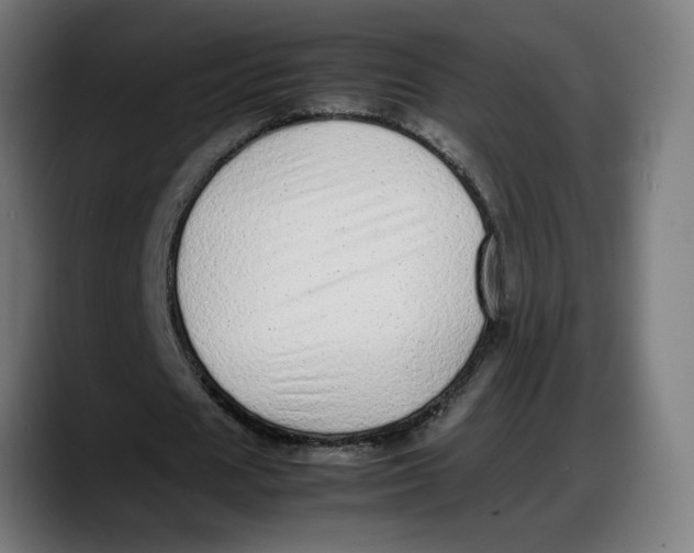 X0000087750625200705291034