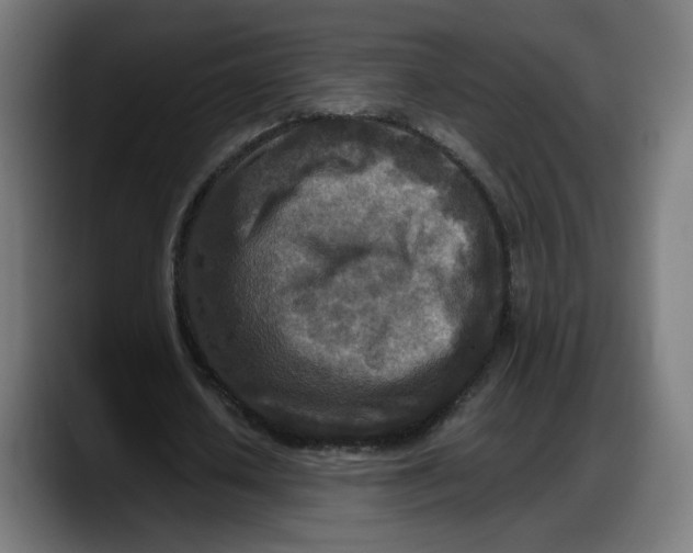 X0000087750626200705291034