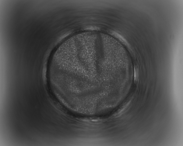 X0000087750627200705291034