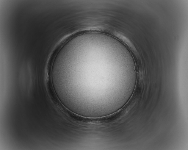 X0000087750628200705291034