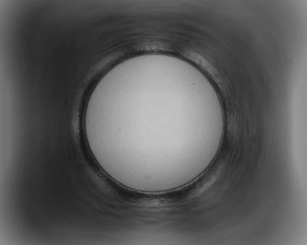 X0000087750629200705291034