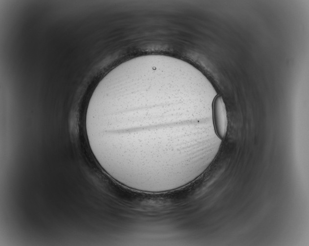 X0000087750631200705291034