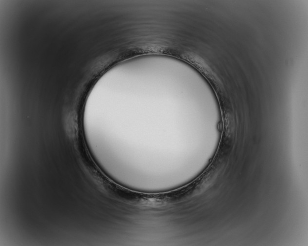 X0000087750634200705291034