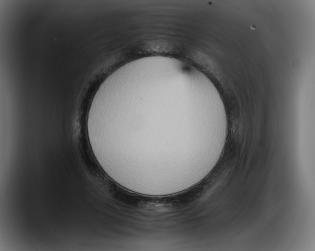 X0000087750635200705291034