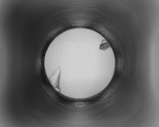 X0000087750636200705291034