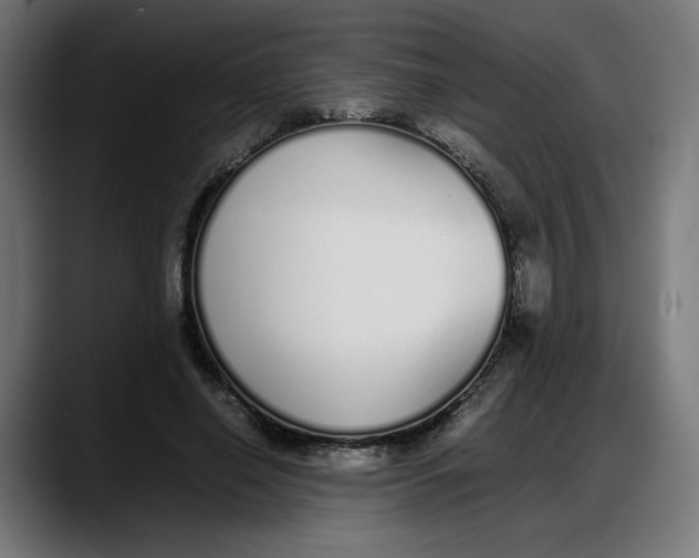 X0000087750638200705291034