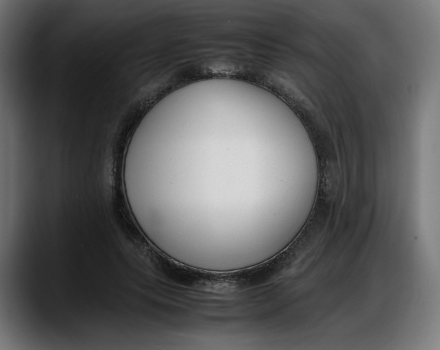 X0000087750639200705291034