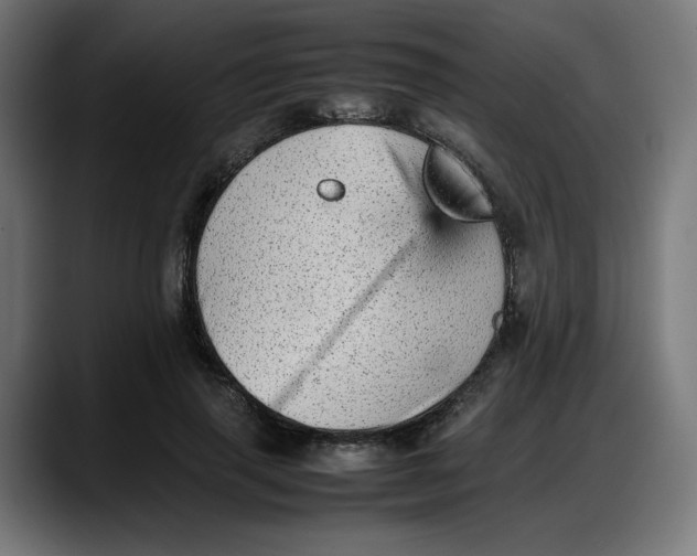 X0000087750645200705291034