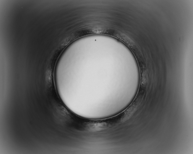 X0000087750646200705291034