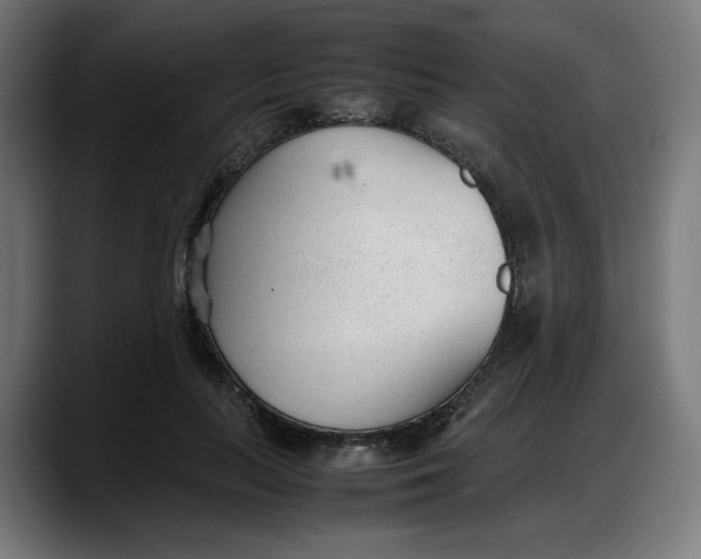 X0000087750647200705291034