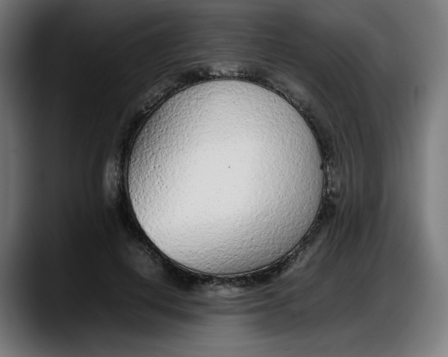 X0000087750648200705291034