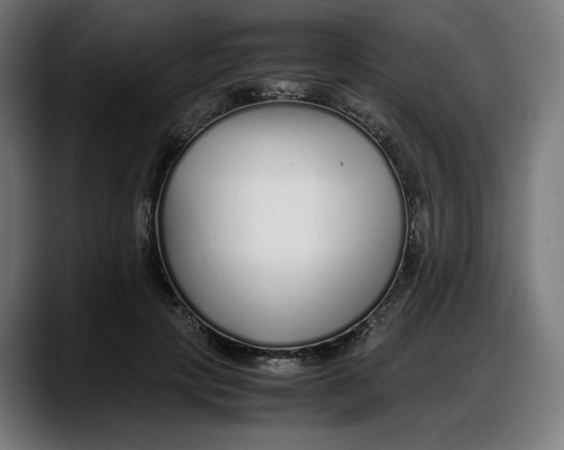 X0000087750649200705291034