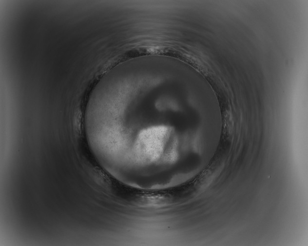 X0000087750650200705291034