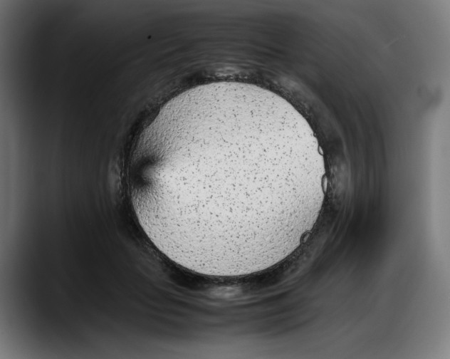 X0000087750653200705291034