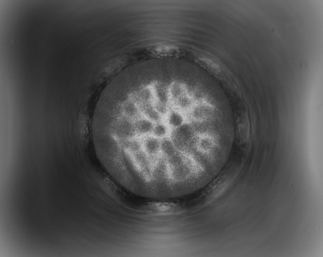 X0000087750654200705291034