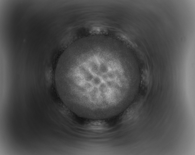 X0000087750659200705291034