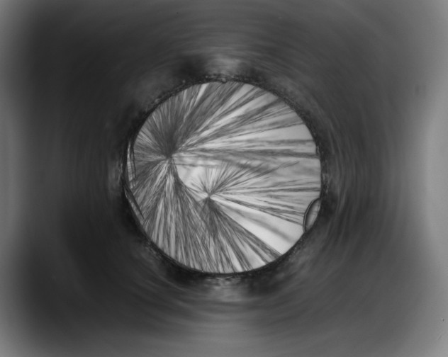 X0000087750660200705291034