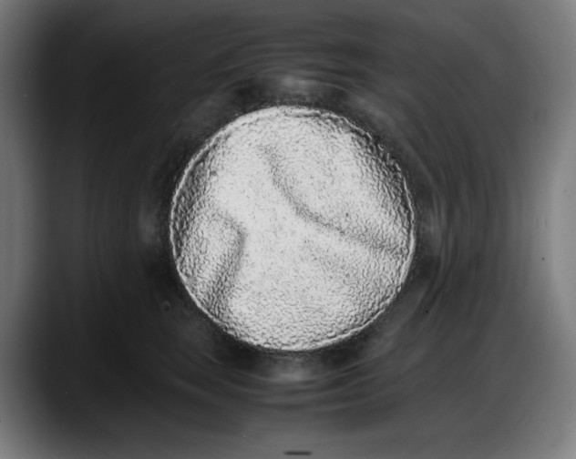 X0000087750663200705291034