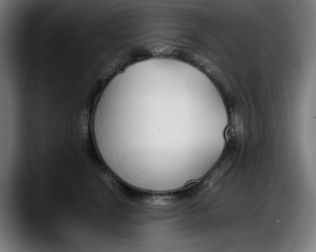 X0000087750664200705291034