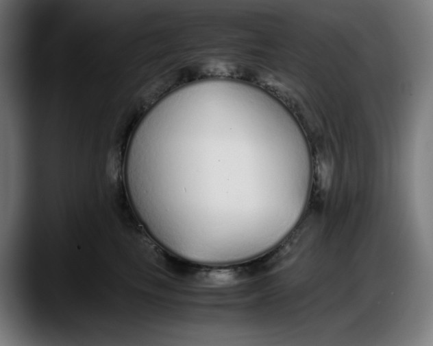 X0000087750665200705291034