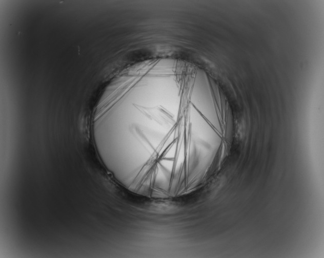 X0000087750666200705291034