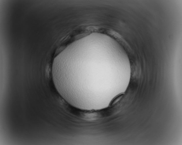 X0000087750669200705291034