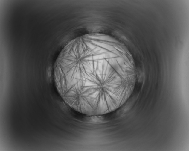 X0000087750670200705291034