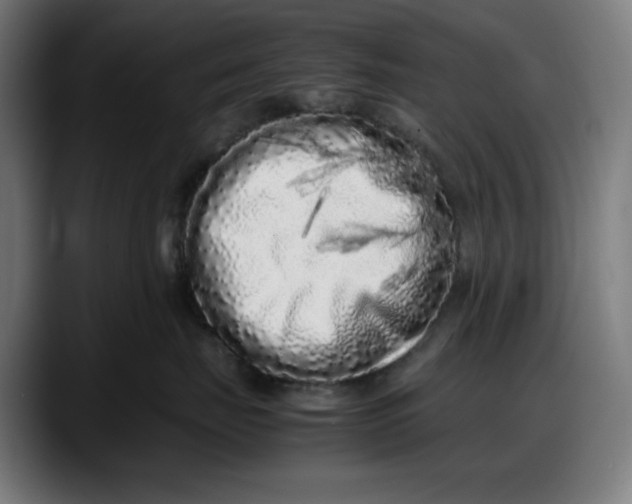 X0000087750671200705291034