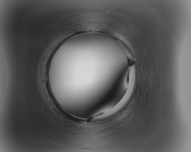 X0000087750673200705291034