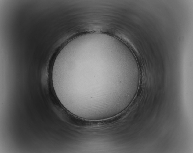 X0000087750674200705291034