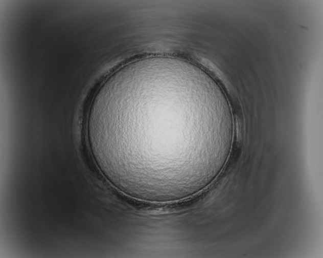 X0000087750675200705291034