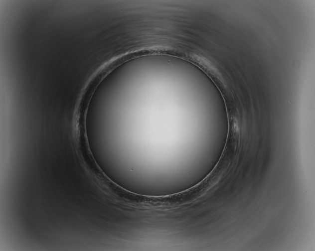 X0000087750676200705291034