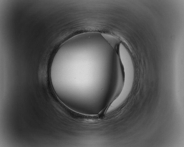 X0000087750677200705291034